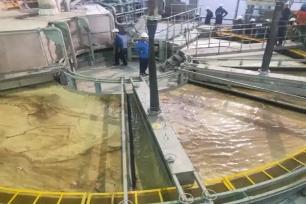 What Is a Rotary Table Vacuum Filter and How Does It Automate Filtration