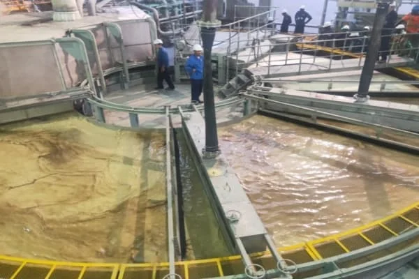 Filtro de vácuo de mesa rotativa